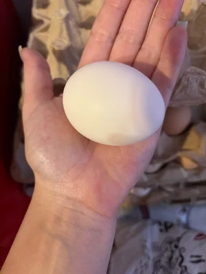 Яички домашние