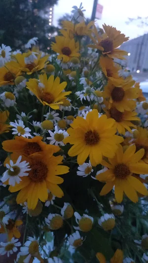 Букеты из полевых цветов