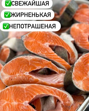 Форель охлажденная непотрашеная