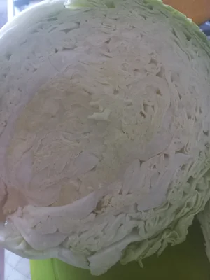 Тыква крупная