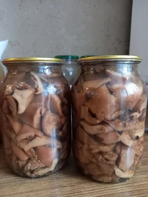 Рыжики маринованные
