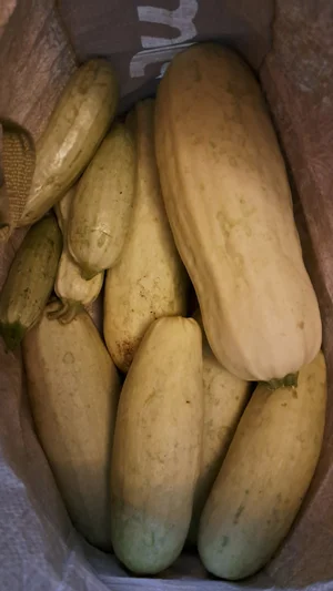 Кабачки