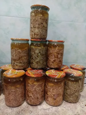 Холодец из домашнего мяса (индейки, курицы и свинины)