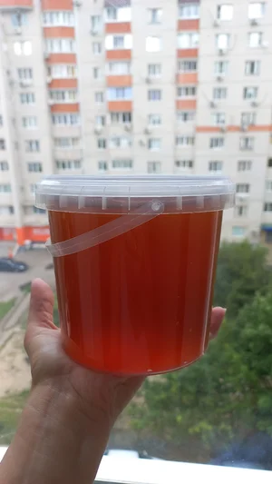 Разнотравье