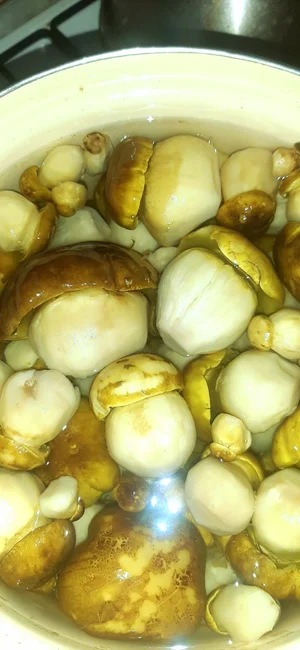 Грибы маринованные