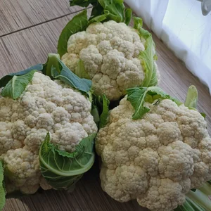 Цветная капуста