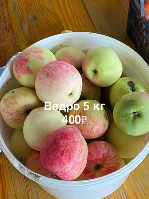 Огурцы корнишоны