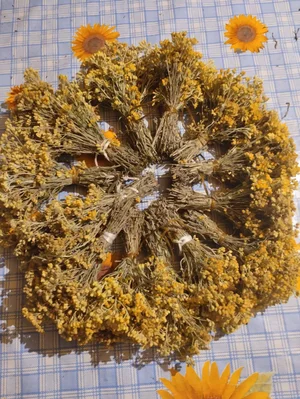 Липа