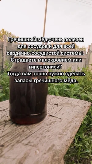 Гречишный мёд