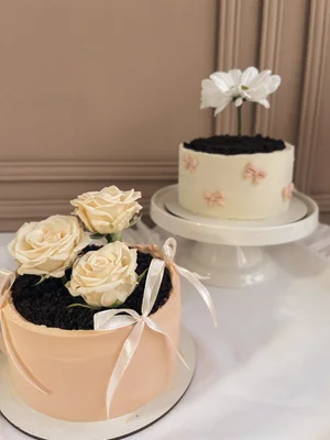 Бенто Макси