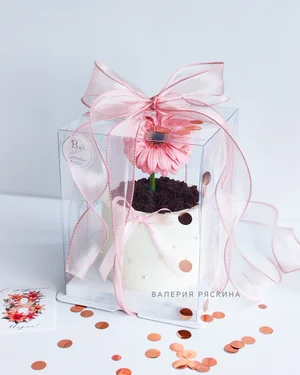 Бенто 'Цветок в горшке'