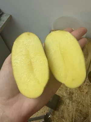 Картофель