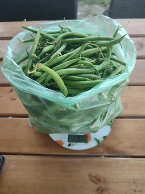Лизюкова