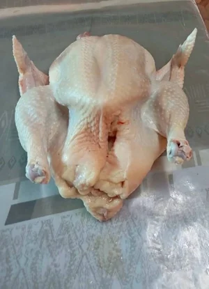 Курица (бройлер)