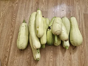 Кабачки