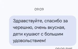 Черешня