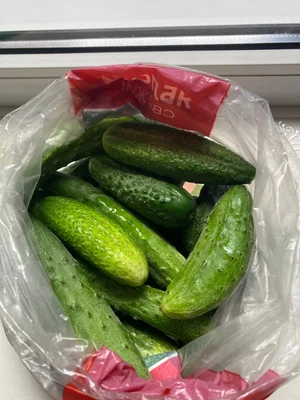 Ежевика