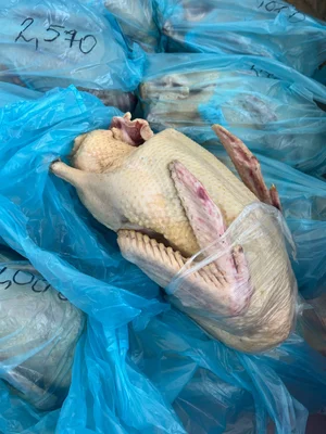 Мясо индоутки