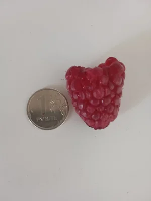 Малина
