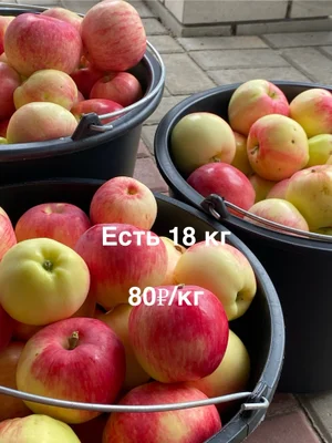 Огурцы корнишоны