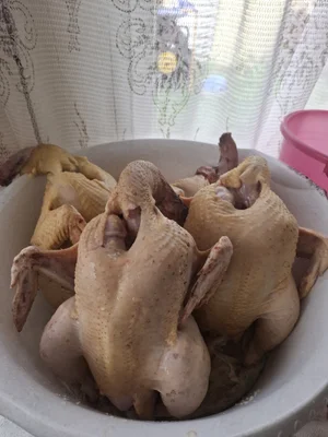 Мясо кур бройлеров