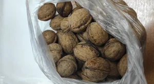 Грецкий орех