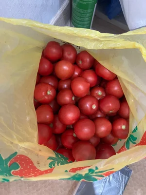 Огурцы