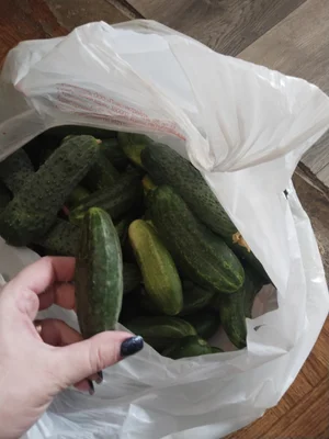 Непас, гаспачо, черри