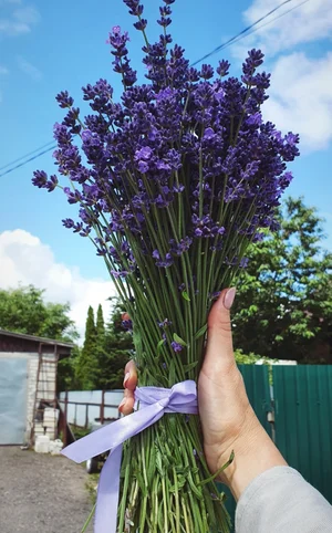 Растительное масло холодного отжима