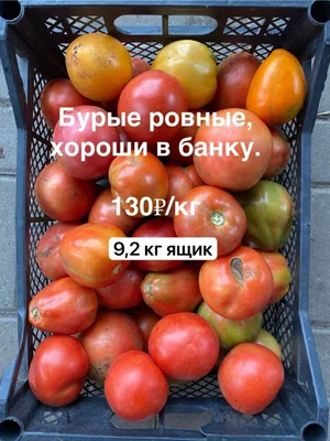 Яблоки