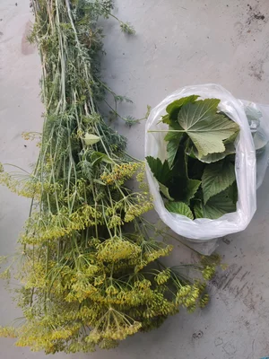 Свежесрезанный букет - летний