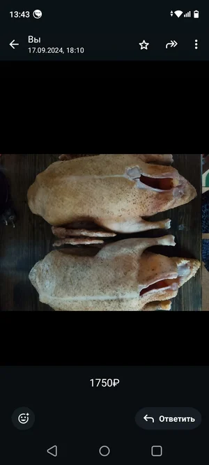 Молоко козье