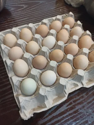 Солёное сало в вакуумной упаковке