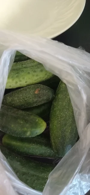 Огурцы
