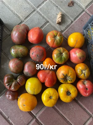 Огурцы корнишоны
