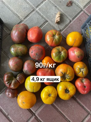 Яблоки