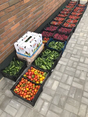 Клубника