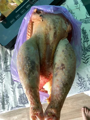 Сыр козий