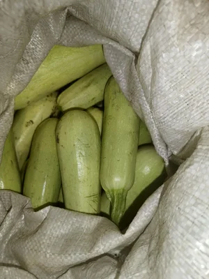Кабачки