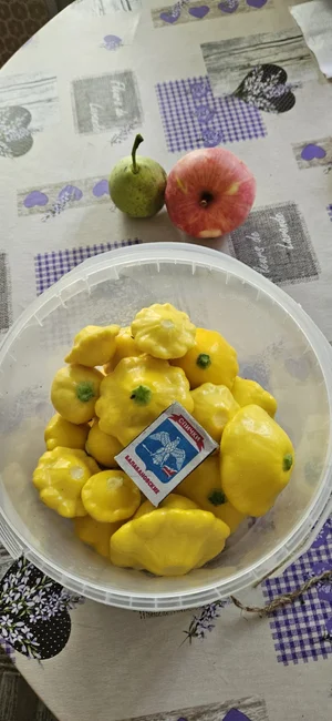 Картофель