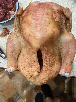 Курица