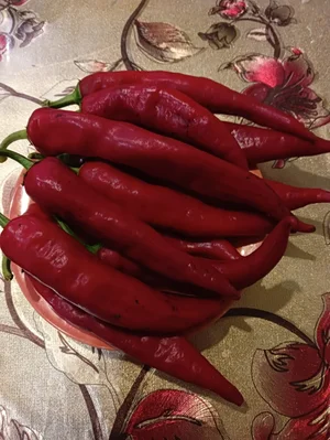 Саженцы крупной малины