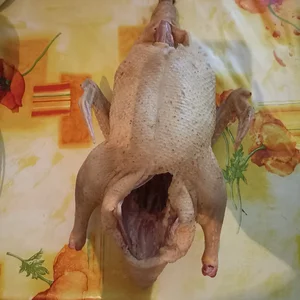 Огурцы