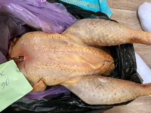 Утка домашняя