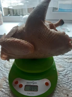 Петушков молодых домашних