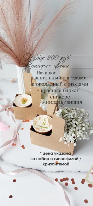 Бенто S (500 гр)