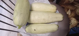 Огурцы