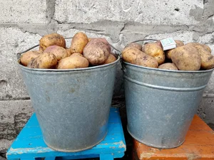Картофель