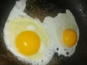 Куриные яйца