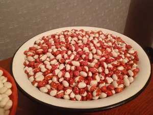 Фасоль